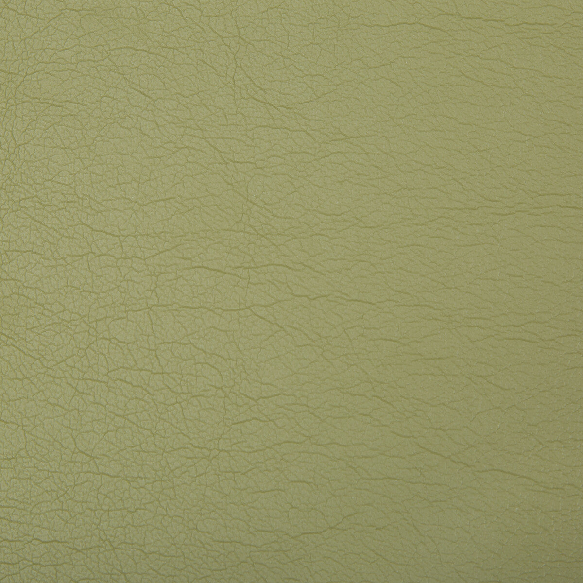 optima1300-optima-green-tea-kravet-contract