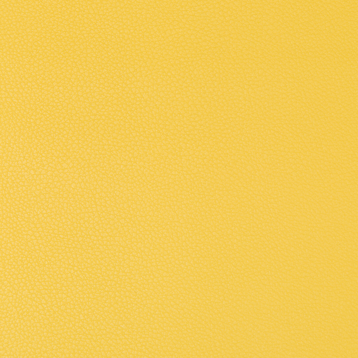 syrus400-syrus-sunshine-kravet-contract