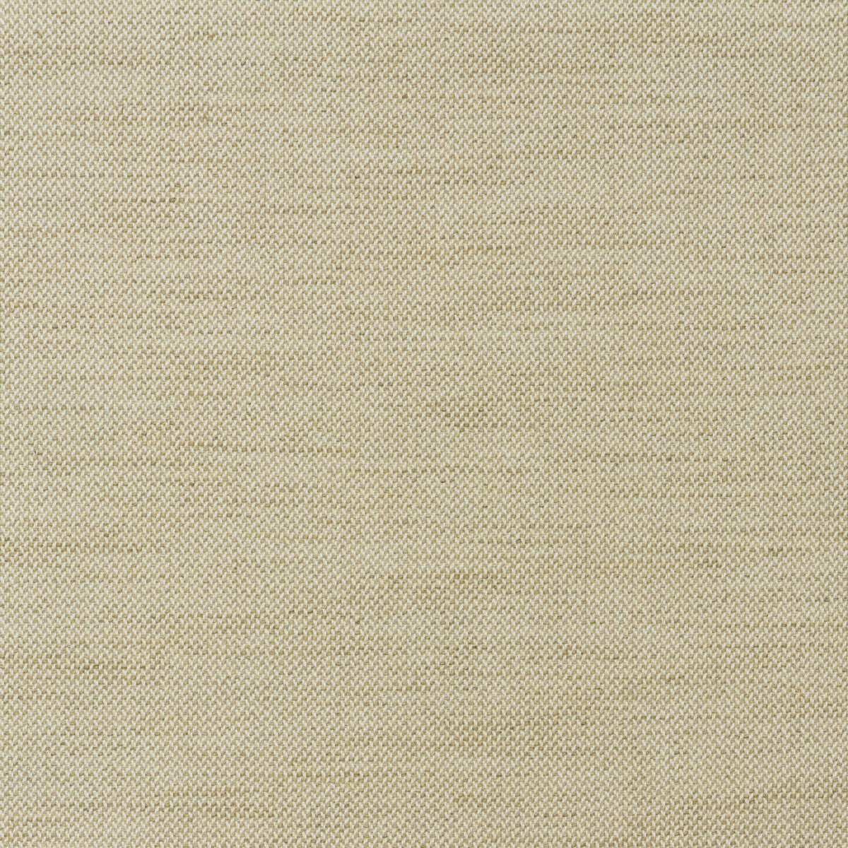 am100435160-rowboat-rope-kravet-couture