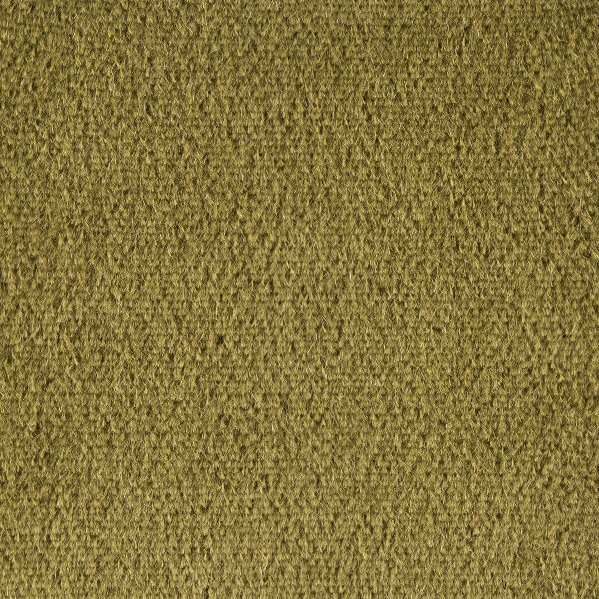 br-897784580-autun-mohair-velvet-olive-brunschwig-fils - BRUNSCHWIG & FILS Fabric