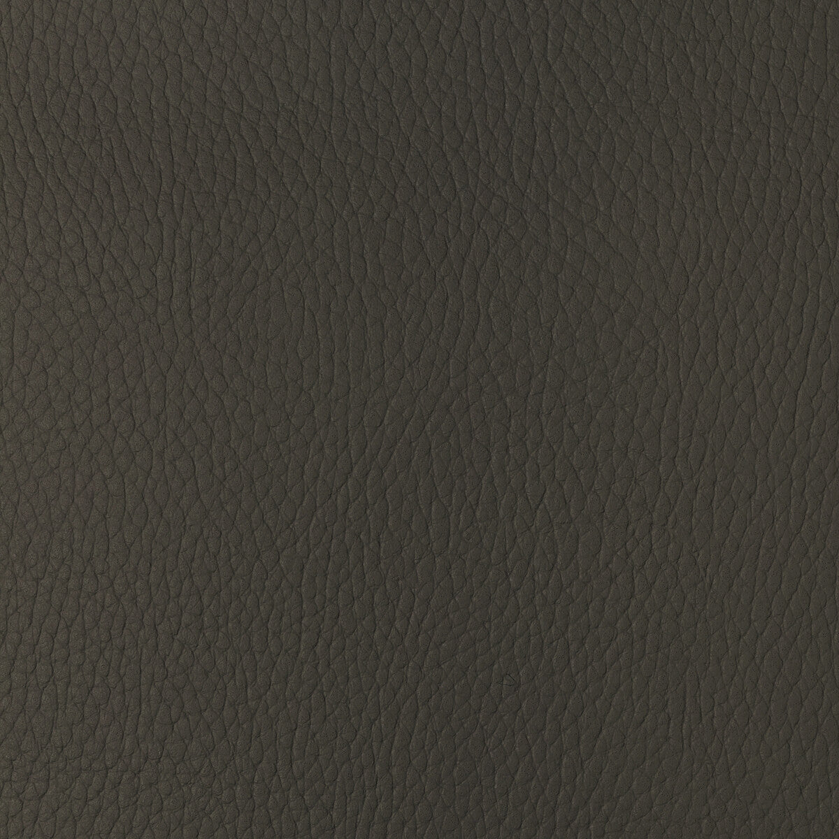 sugarmaple60-kravet-design-sugarmaple-6-kravet-design