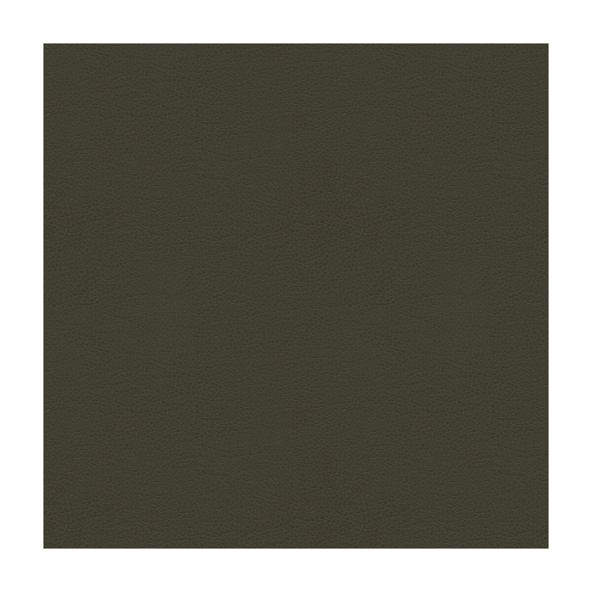 alina210-kravet-smart-alina-21-kravet-smart