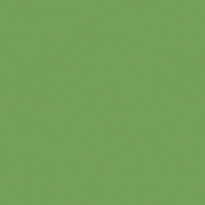 br-81079y0-satin-la-tour-vert-brunschwig-fils - BRUNSCHWIG & FILS Fabric