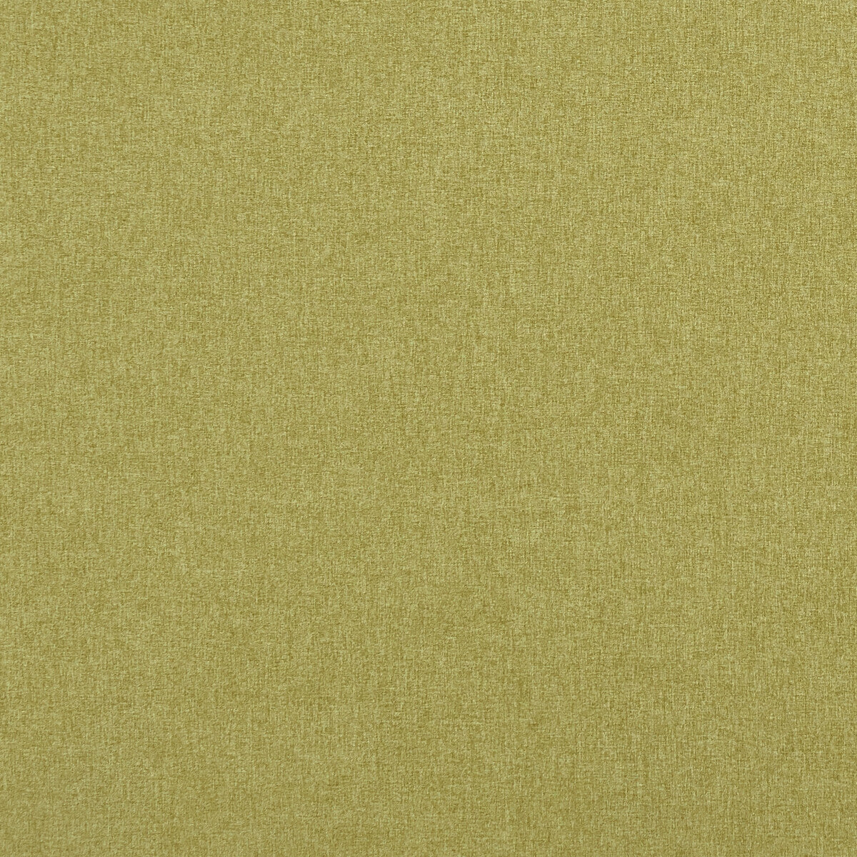 f084812cac0-highlander-fern-clarke-and-clarke - CLARKE AND CLARKE Fabric