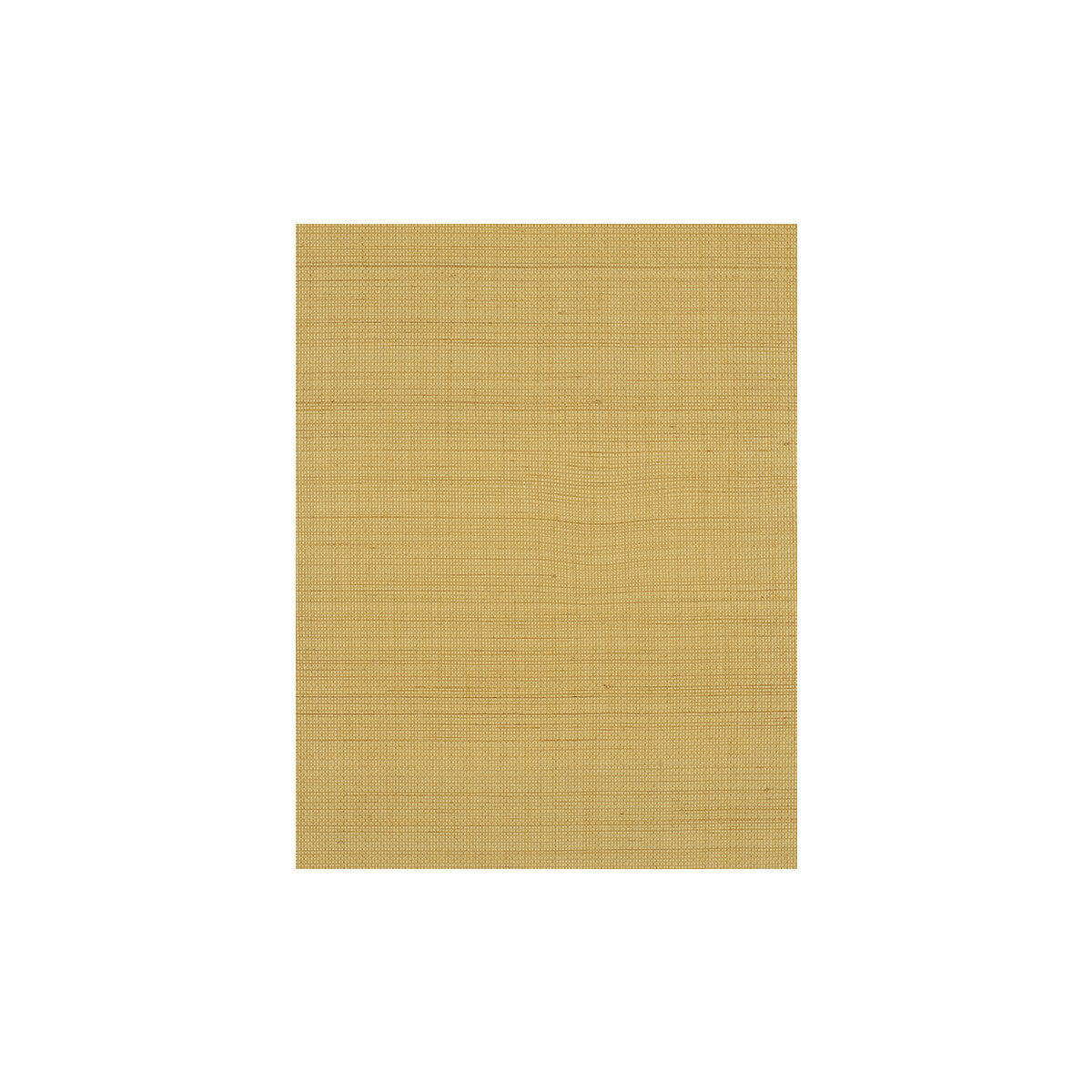 wiw2536wt0-negril-chamois-winfield-thybony - WINFIELD THYBONY Wallpaper