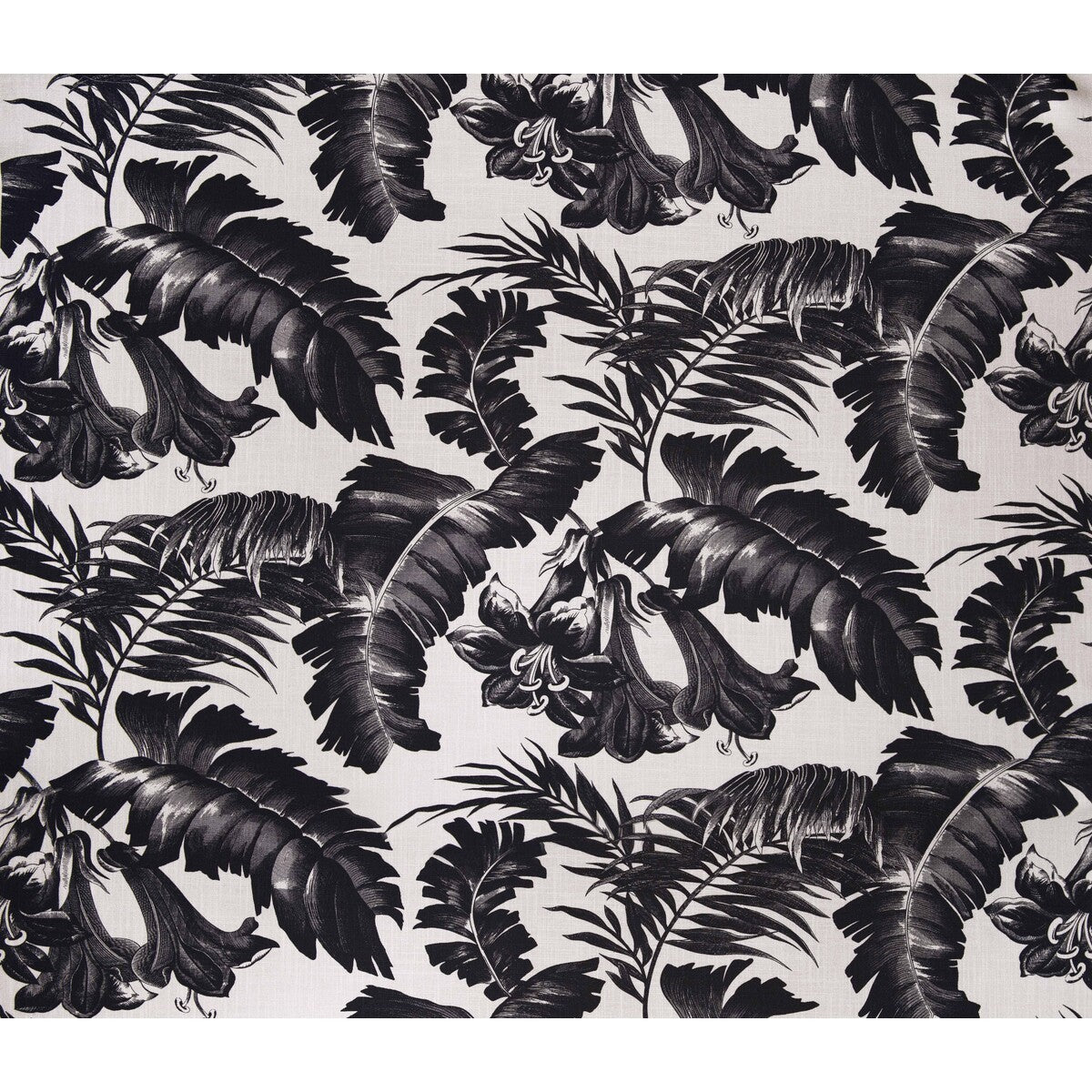 gdt540160-plantation-black-gaston-y-daniela