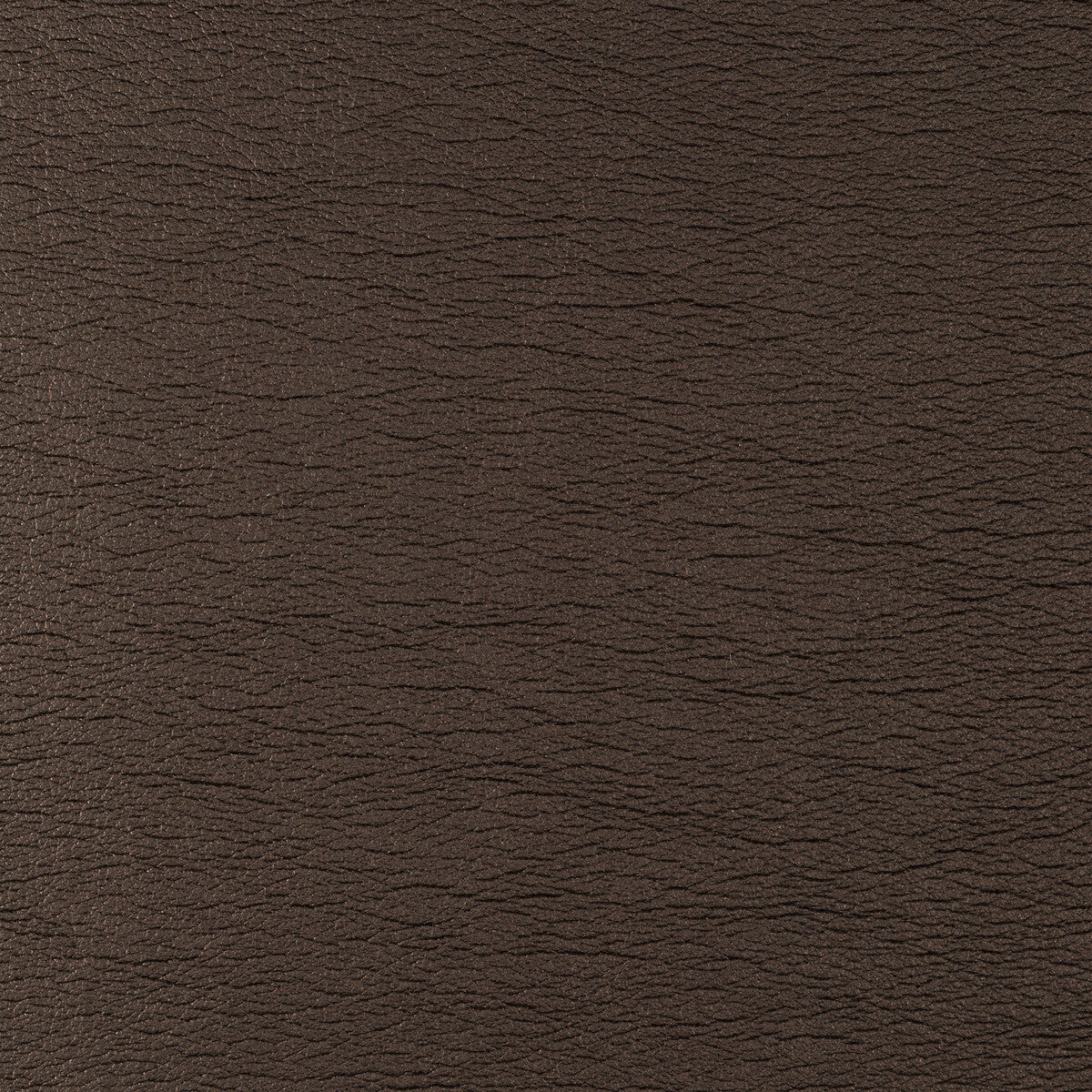 galleon60-kravet-design-galleon-6-kravet-design