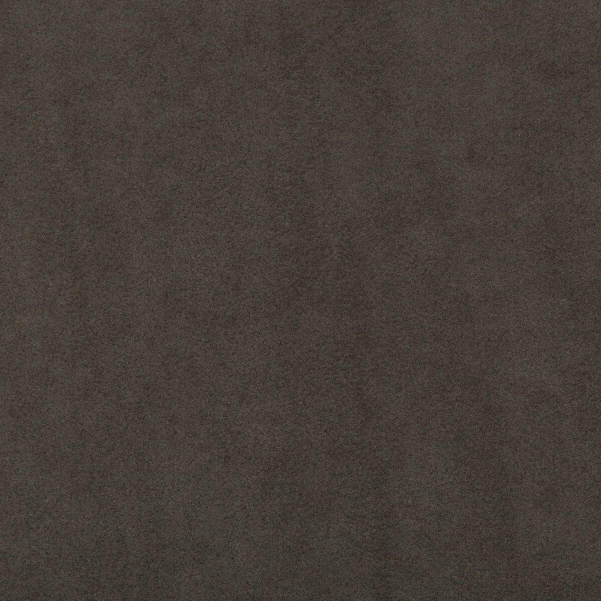 96012221210-ultimate-fossil-lee-jofa