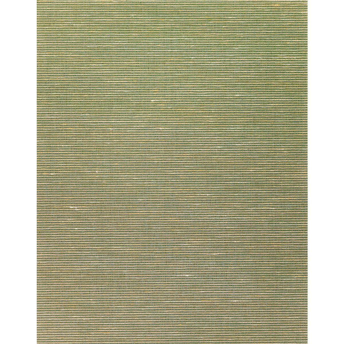 wns5576wt0-althea-plain-olive-winfield-thybony - WINFIELD THYBONY Wallpaper
