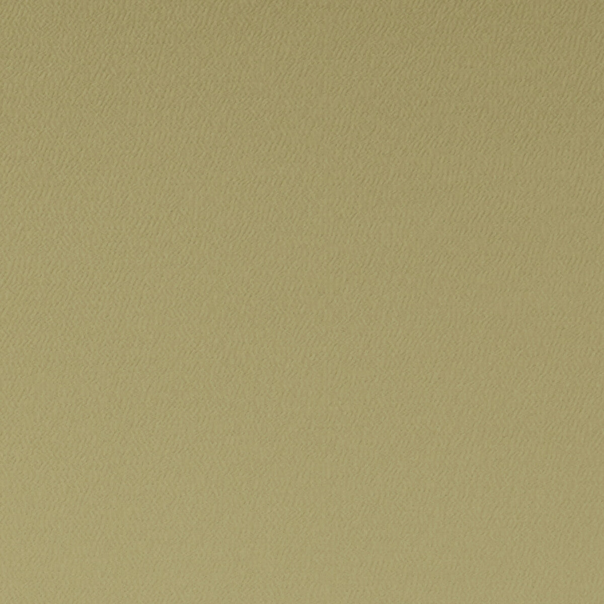 f106201cac0-spectrum-antique-clarke-and-clarke - CLARKE AND CLARKE Fabric