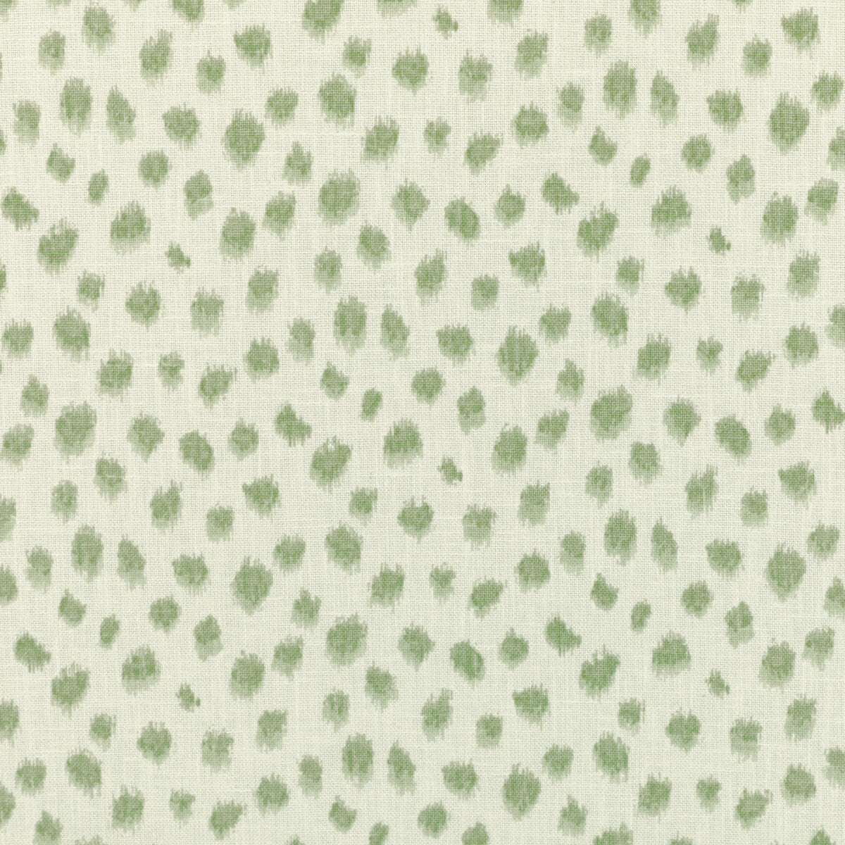 jungleikat300-kravet-basics-jungleikat-30