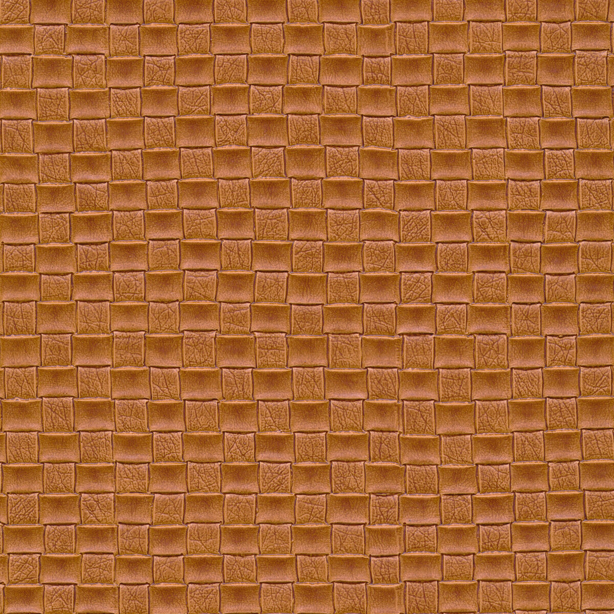 olia1660-kravet-design-olia-166-kravet-design