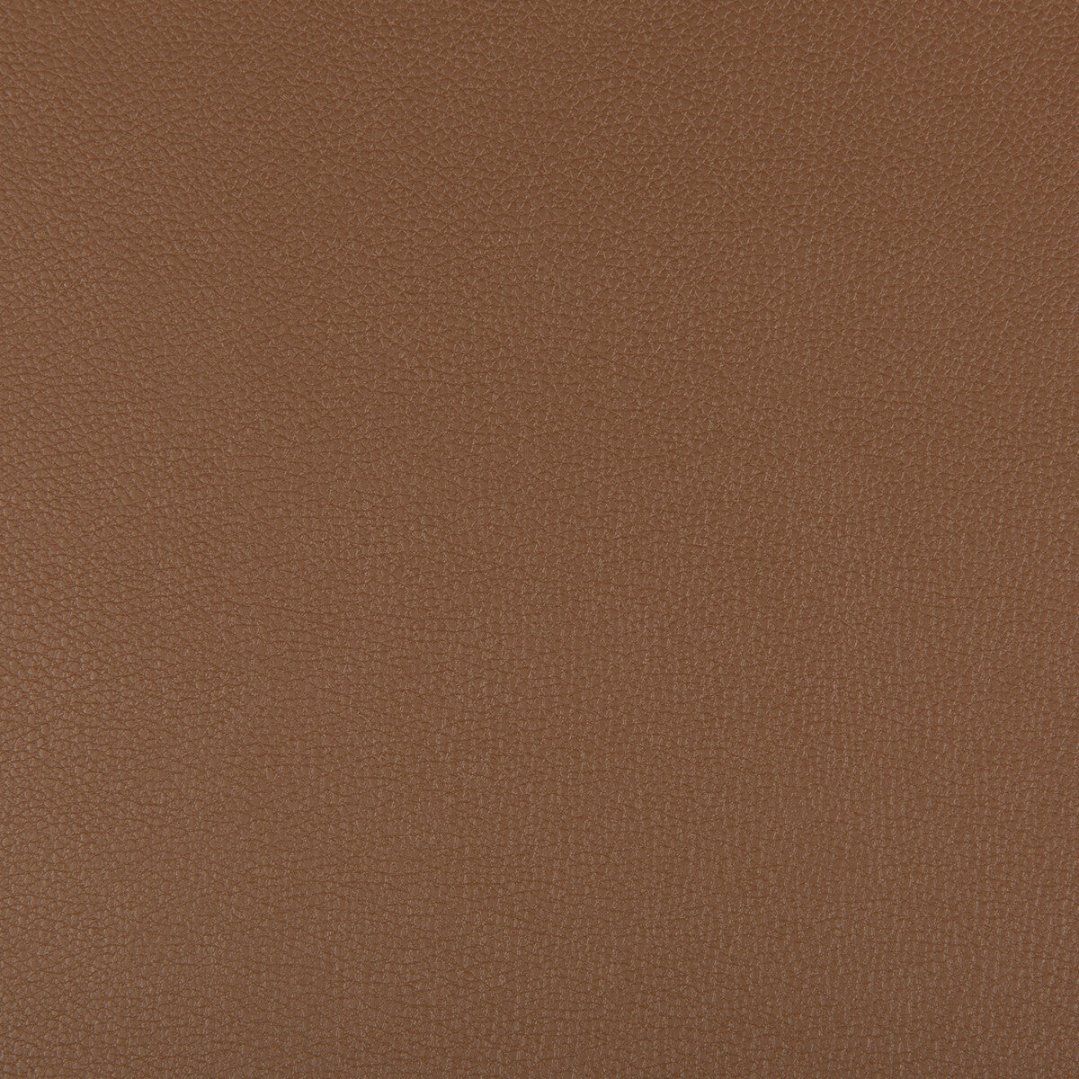 syrus6160-syrus-brunette-kravet-contract