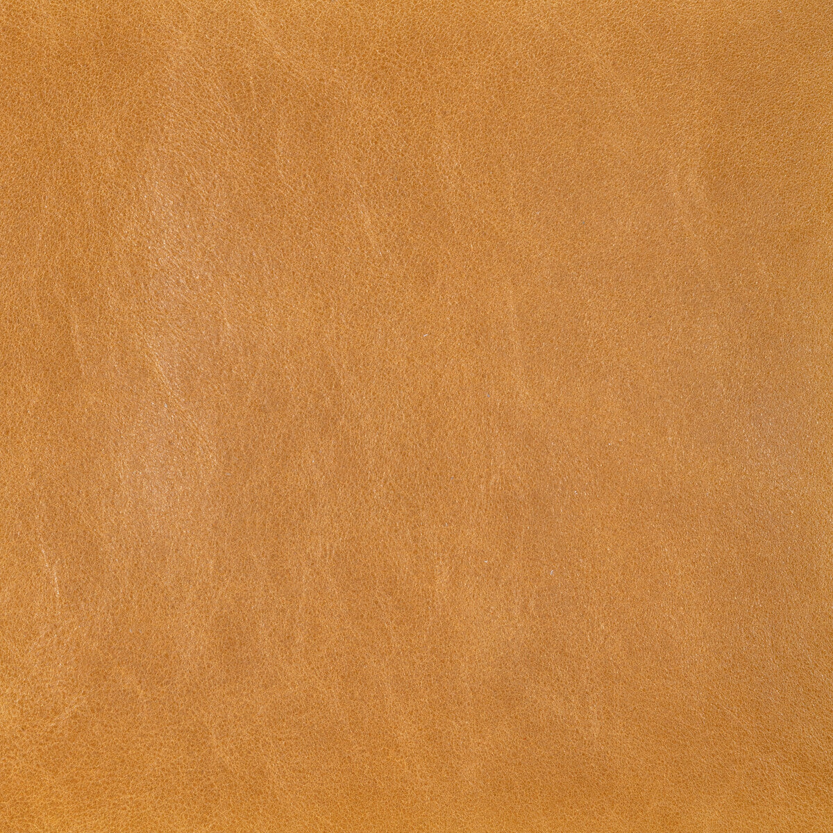 l-cannonochre0-kravet-design-l-cannon-ochre-kravet-design