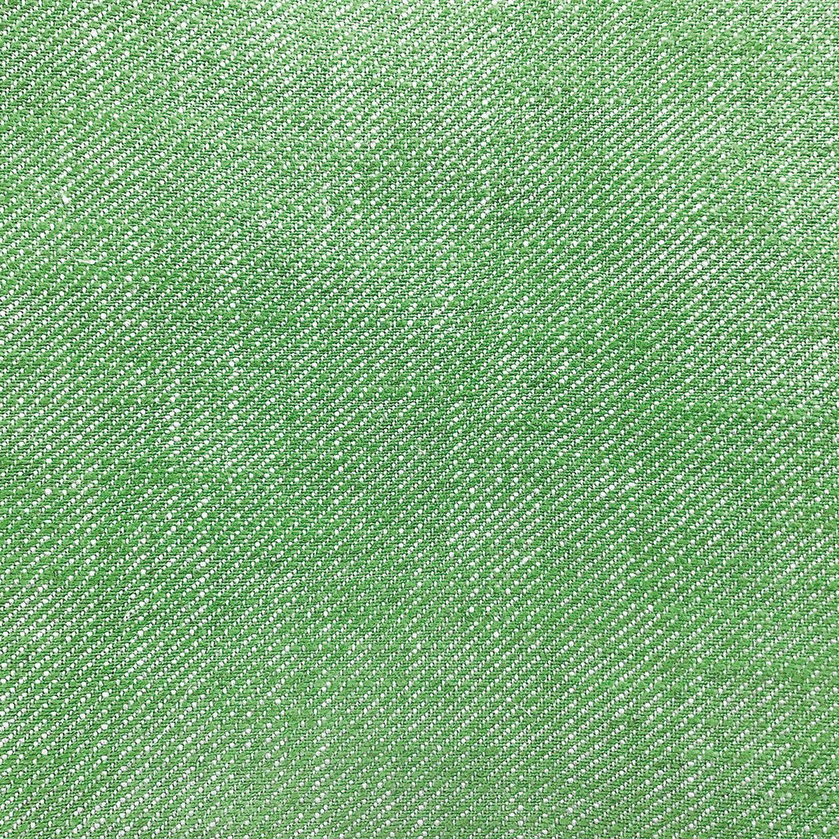 gdt56390210-hisa-verde-gaston-y-daniela