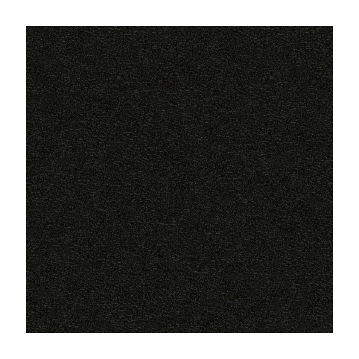 cara80-kravet-design-cara-8-kravet-design