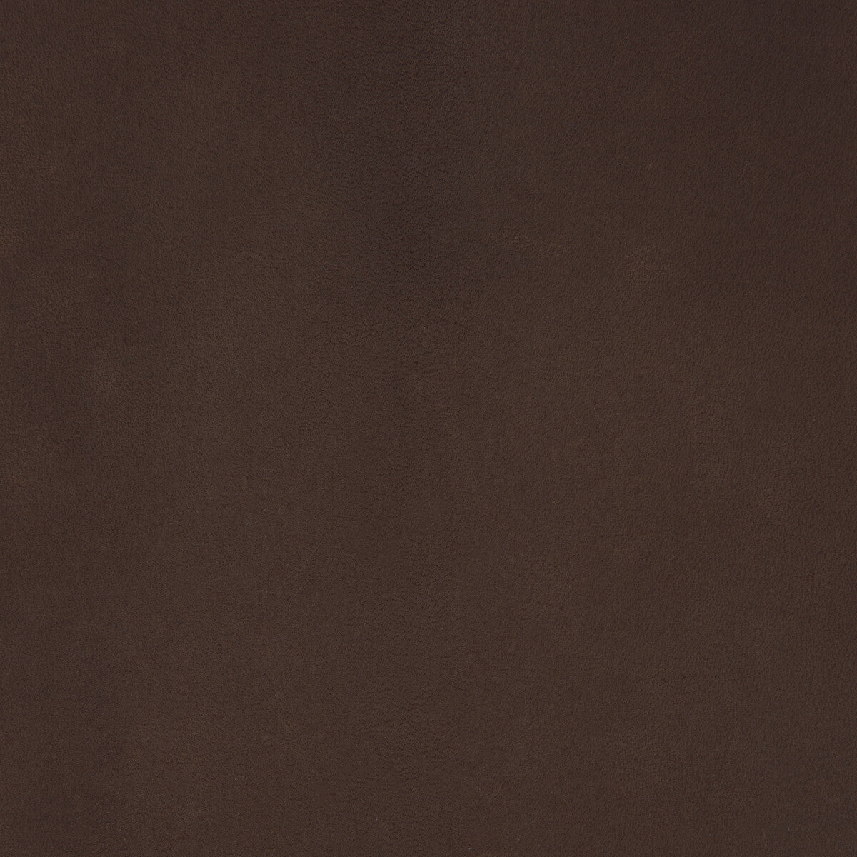 l-coiromolasses0-kravet-design-l-coiro-molasses-kravet-design