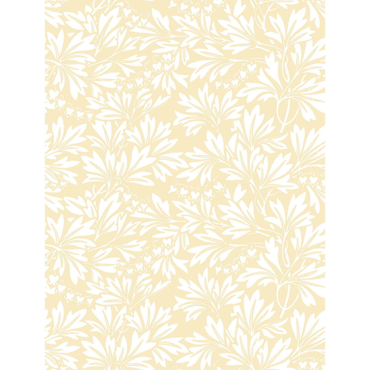 8811046cs0-dialytra-yellow-cole-son