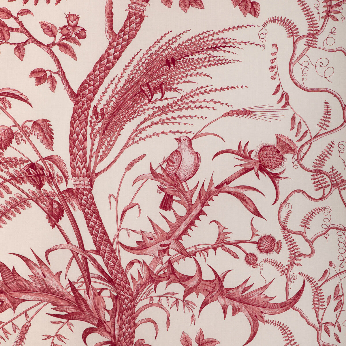 br-794311660-bird-and-thistle-cotton-print-red-brunschwig-fils - BRUNSCHWIG & FILS Fabric