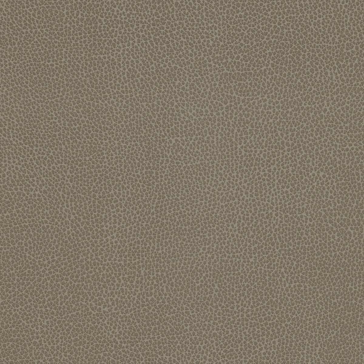 tannin210-kravet-design-tannin-21-kravet-design - KRAVET DESIGN Fabric