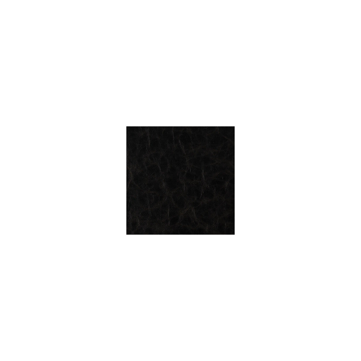 santina80-santina-stallion-kravet-contract