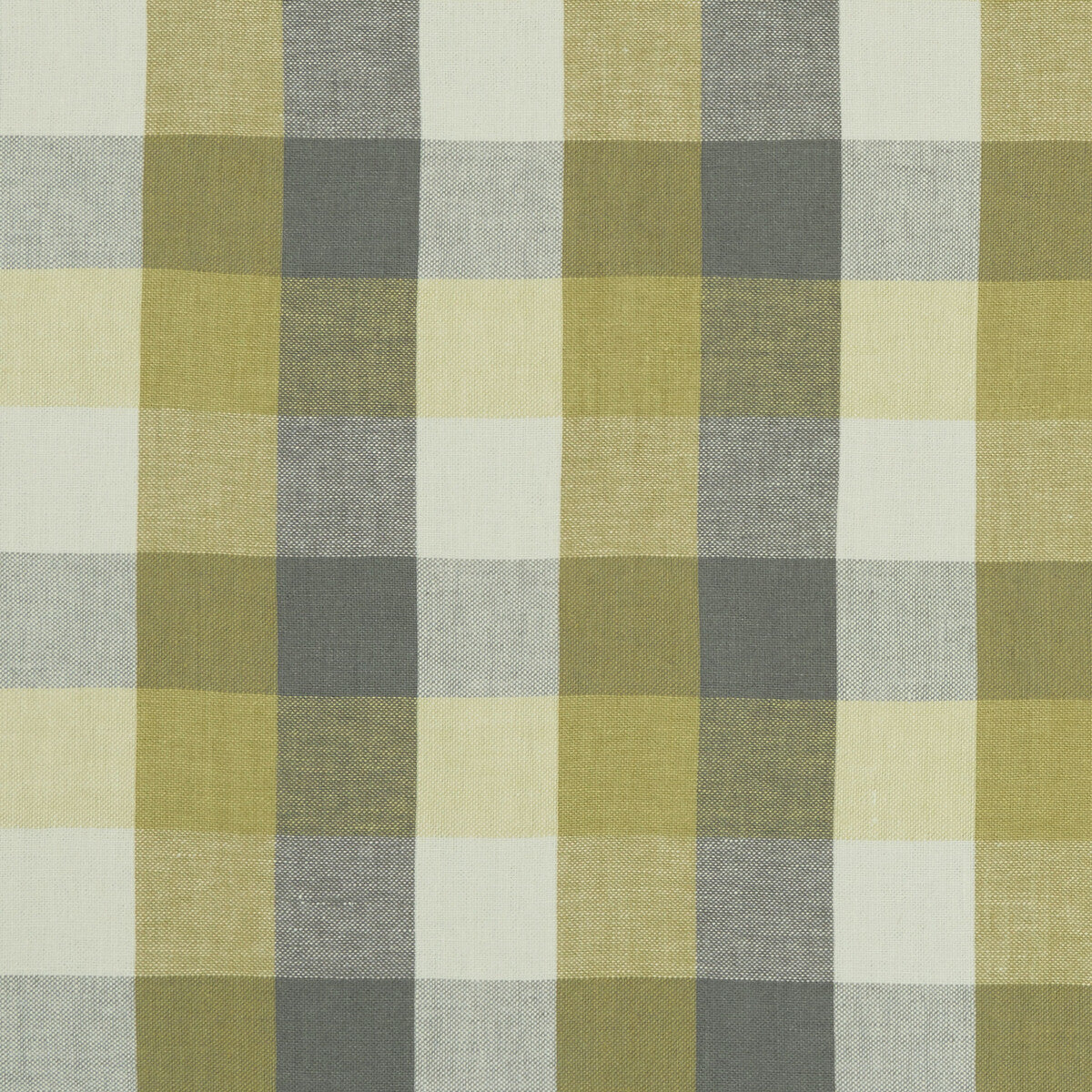 f104202cac0-austin-check-citronnatural-clarke-and-clarke - CLARKE AND CLARKE Fabric