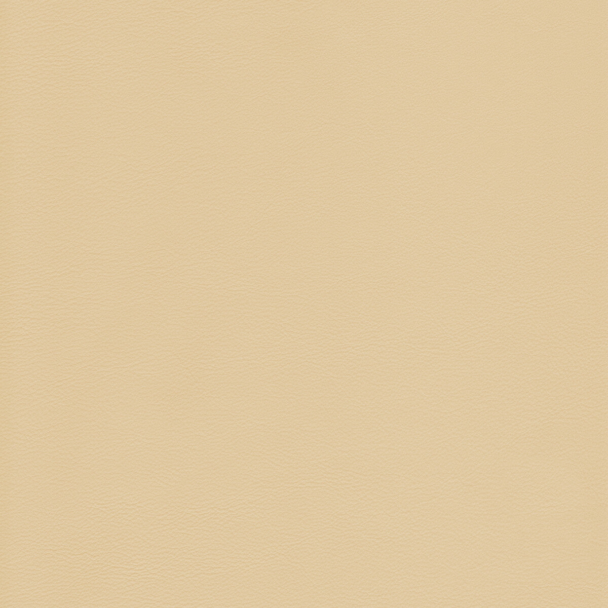 l-howdybutter0-kravet-design-l-howdy-butter-kravet-design