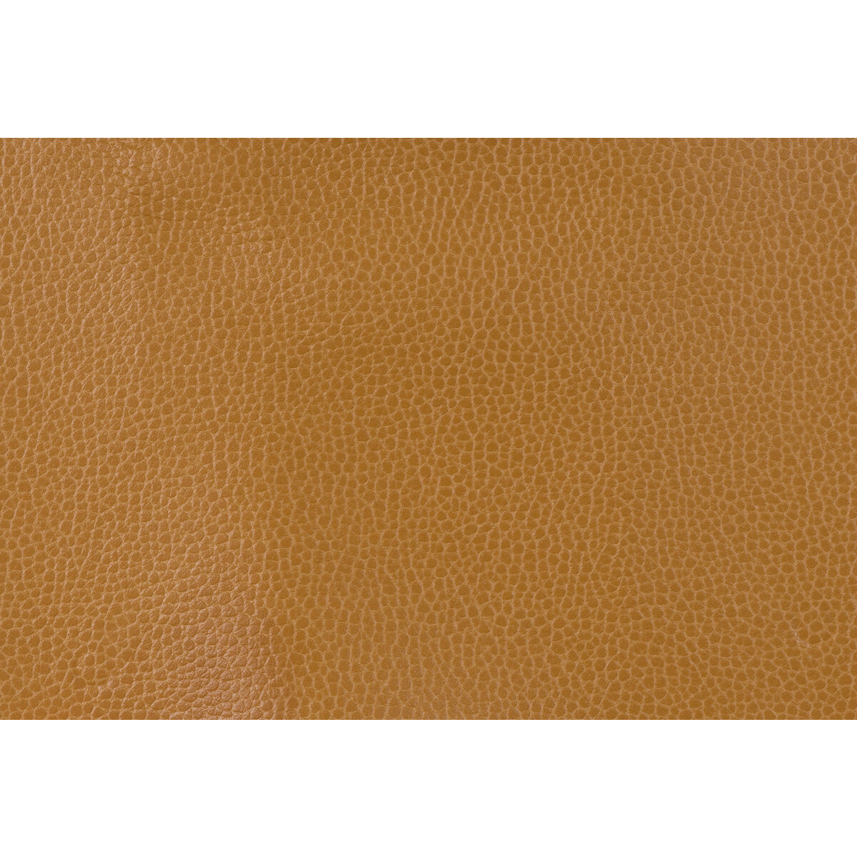 gillian1240-kravet-design-gillian-124-kravet-design