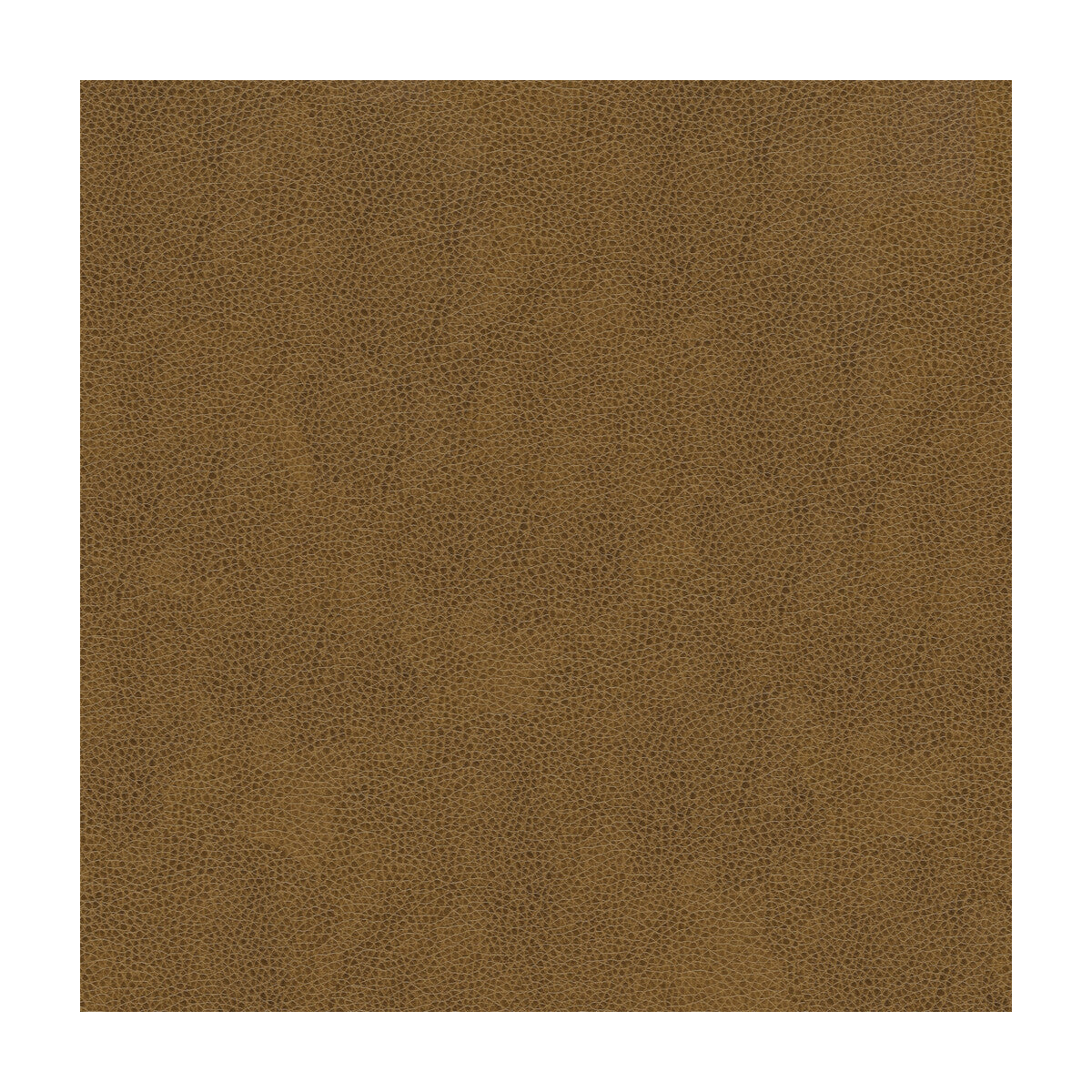 alina6160-kravet-smart-alina-616-kravet-smart