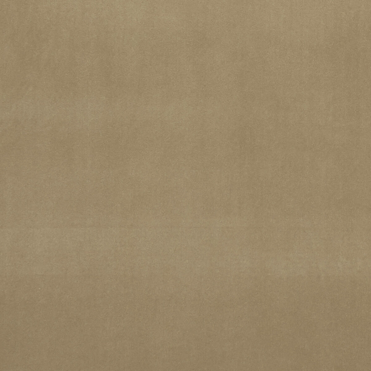 f075341cac0-alvar-lark-clarke-and-clarke - CLARKE AND CLARKE Fabric