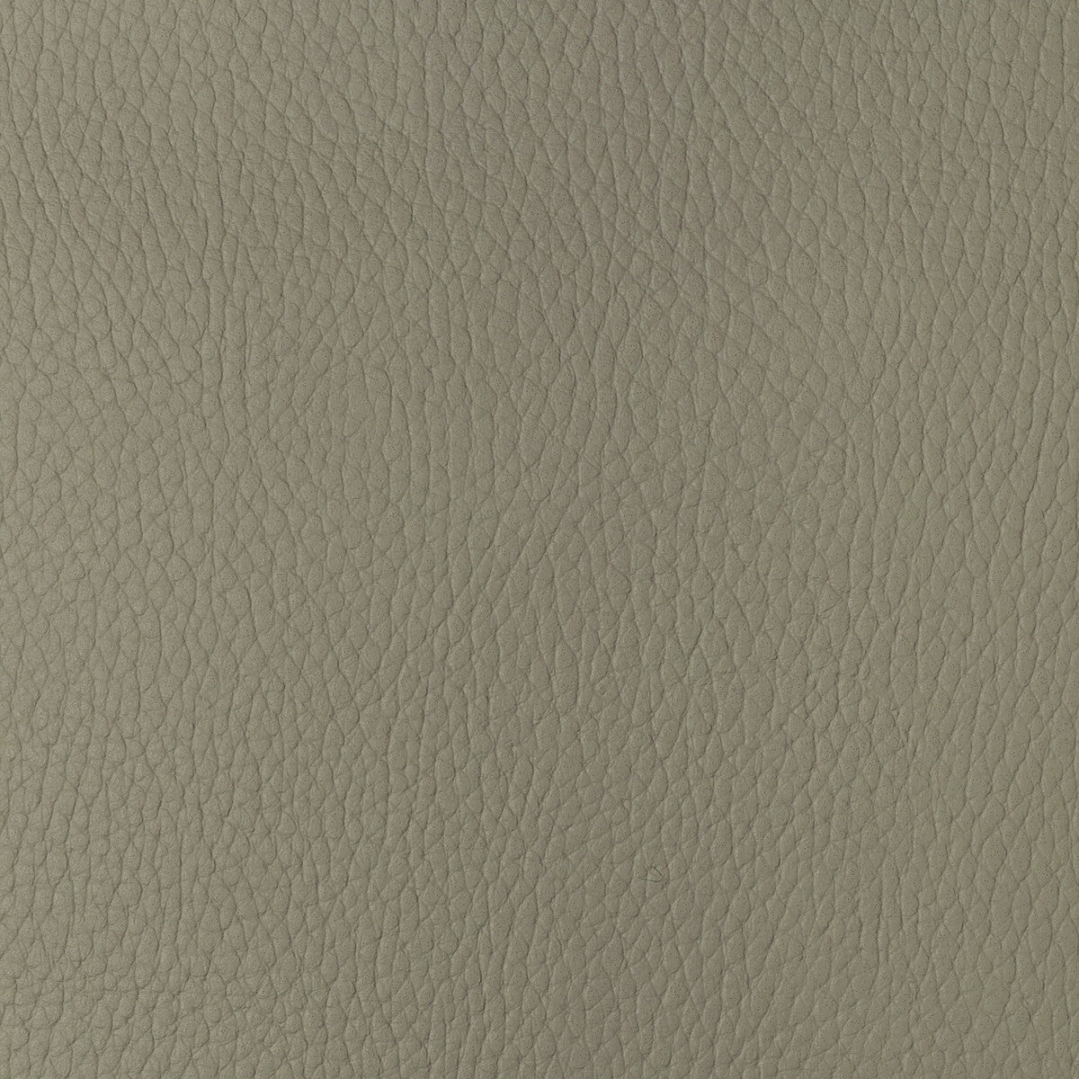 sugarmaple1160-kravet-design-sugarmaple-116-kravet-design