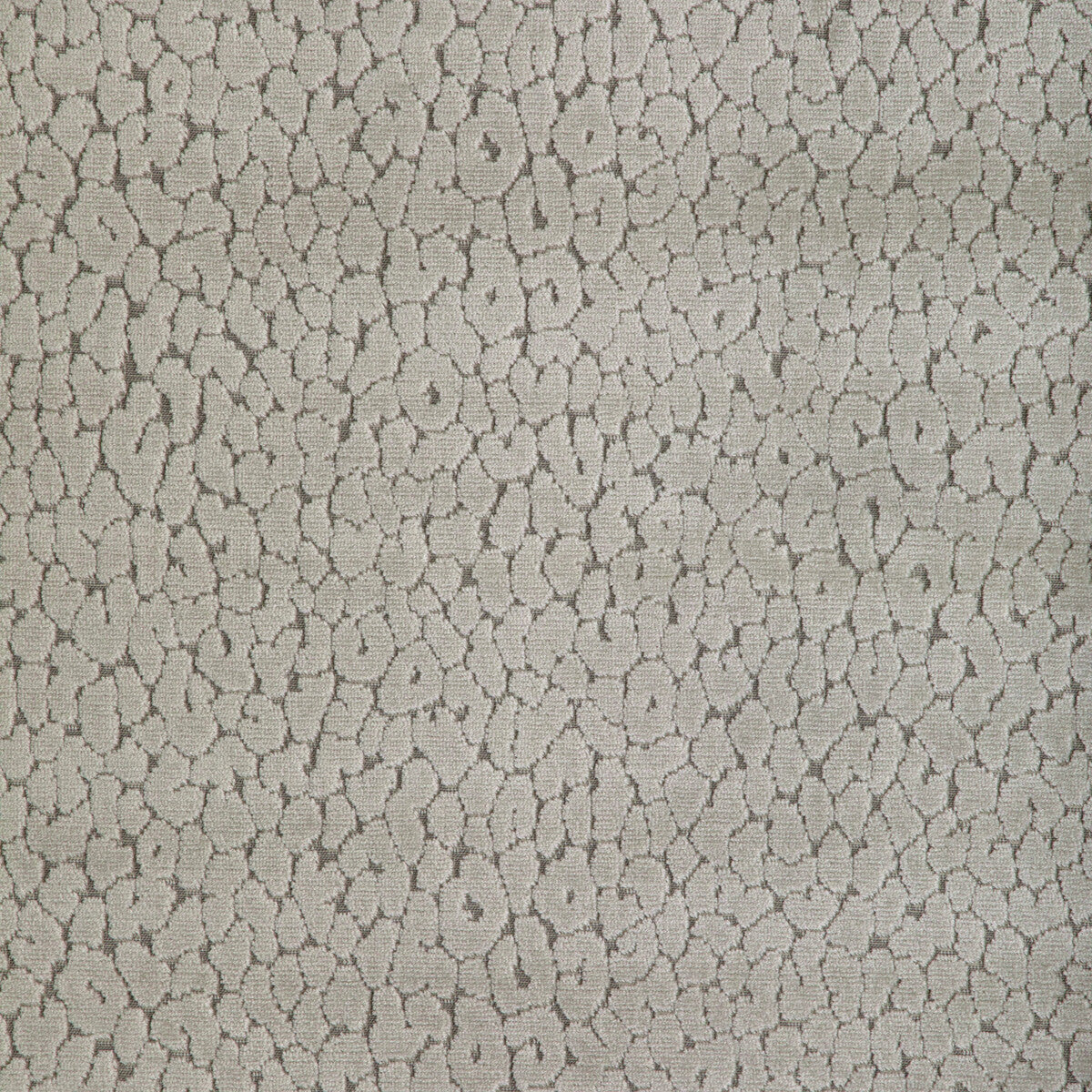 36763110-instinctive-taupe-kravet-design - KRAVET DESIGN Fabric
