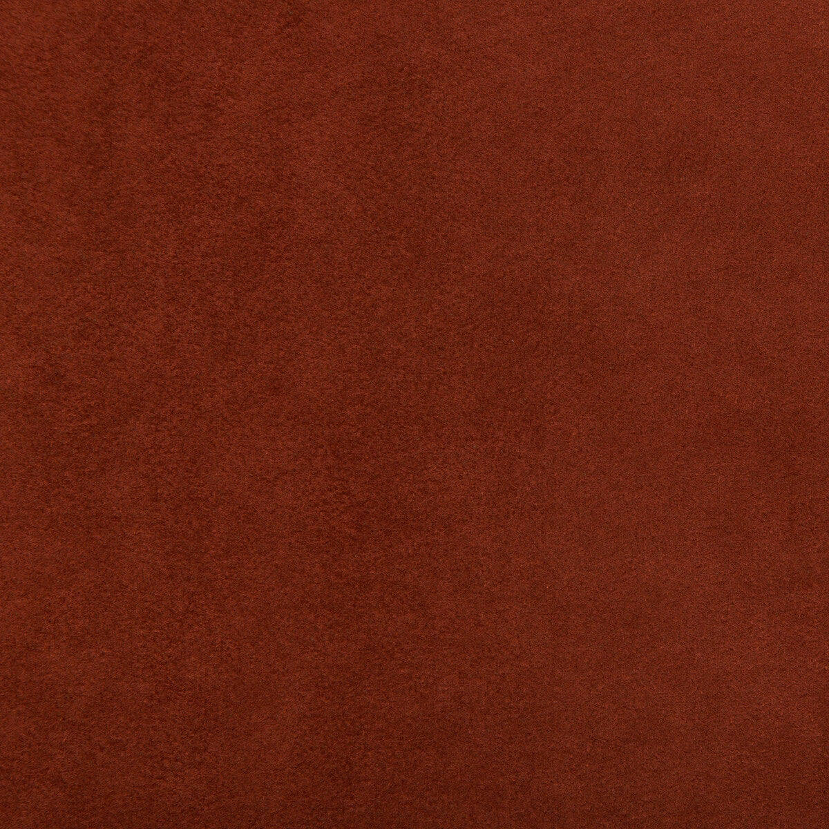9601222400-ultimate-henna-lee-jofa