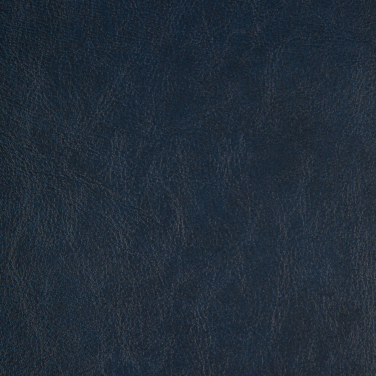 zenon500-kravet-design-zenon-50-kravet-design - KRAVET DESIGN Fabric