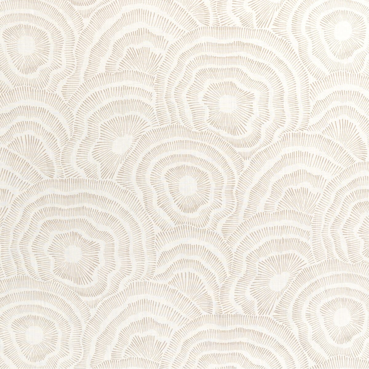 panache160-panache-natural-kravet-couture - KRAVET COUTURE Fabric
