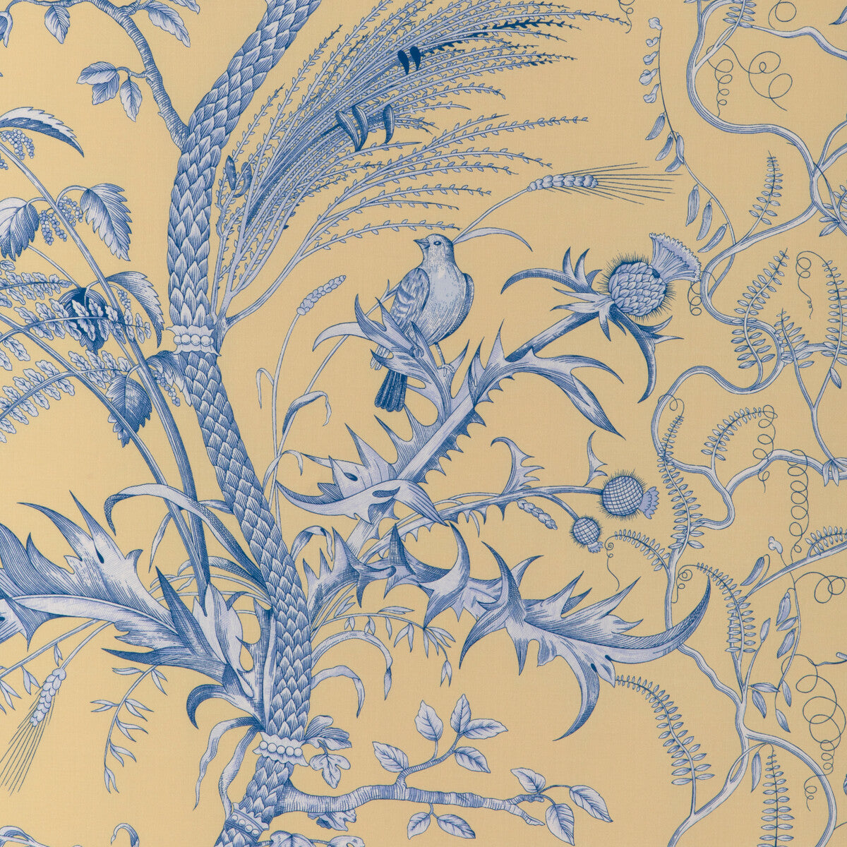 80241014150-bird-and-thistle-ii-sun-brunschwig-fils