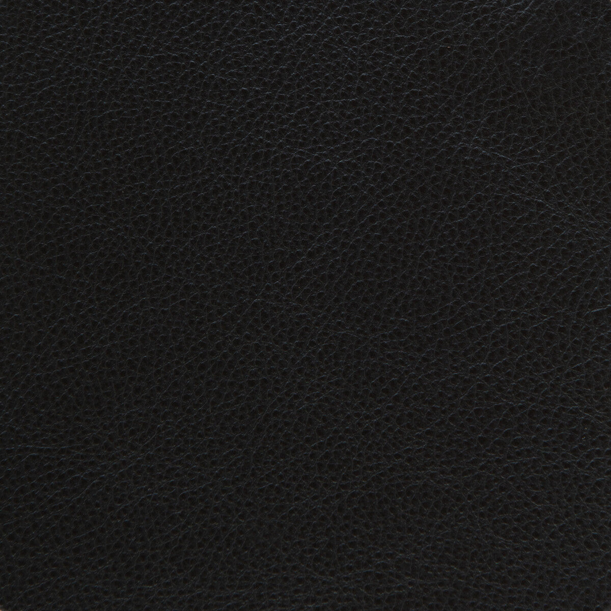 l-dreameronyx0-l-dreamer-kravet-design