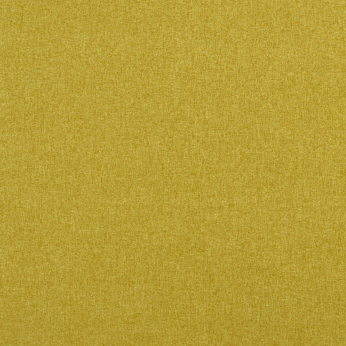 f084824cac0-highlander-palm-clarke-and-clarke - CLARKE AND CLARKE Fabric