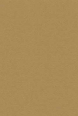 desire40-kravet-design-desire-4-kravet-design - KRAVET DESIGN Fabric