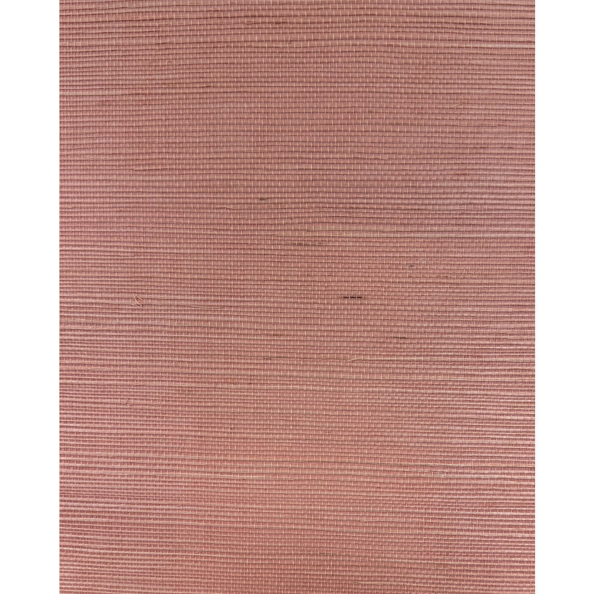 wnr2073wt0-chiyo-sisal-petal-pink-winfield-thybony - WINFIELD THYBONY Wallpaper