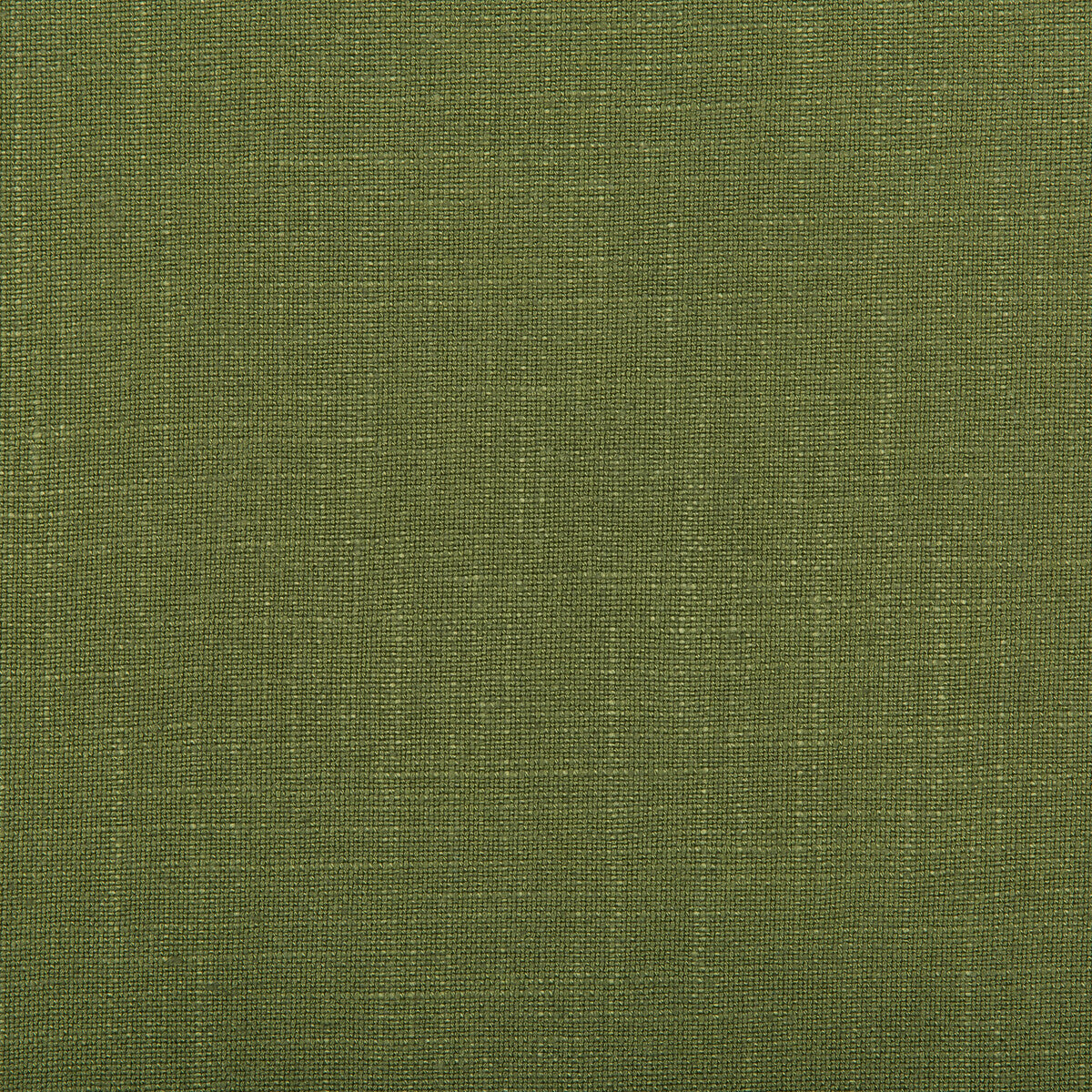 35520130-aura-vine-kravet-design