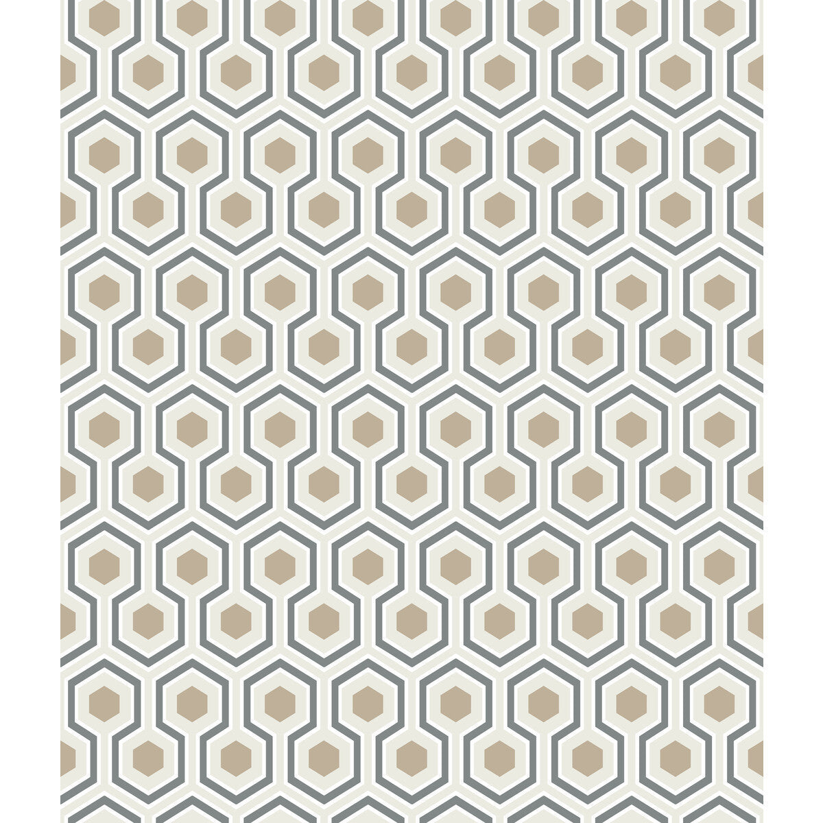 953016cs0-hicks-hexagon-gilverwtbk-cole-son
