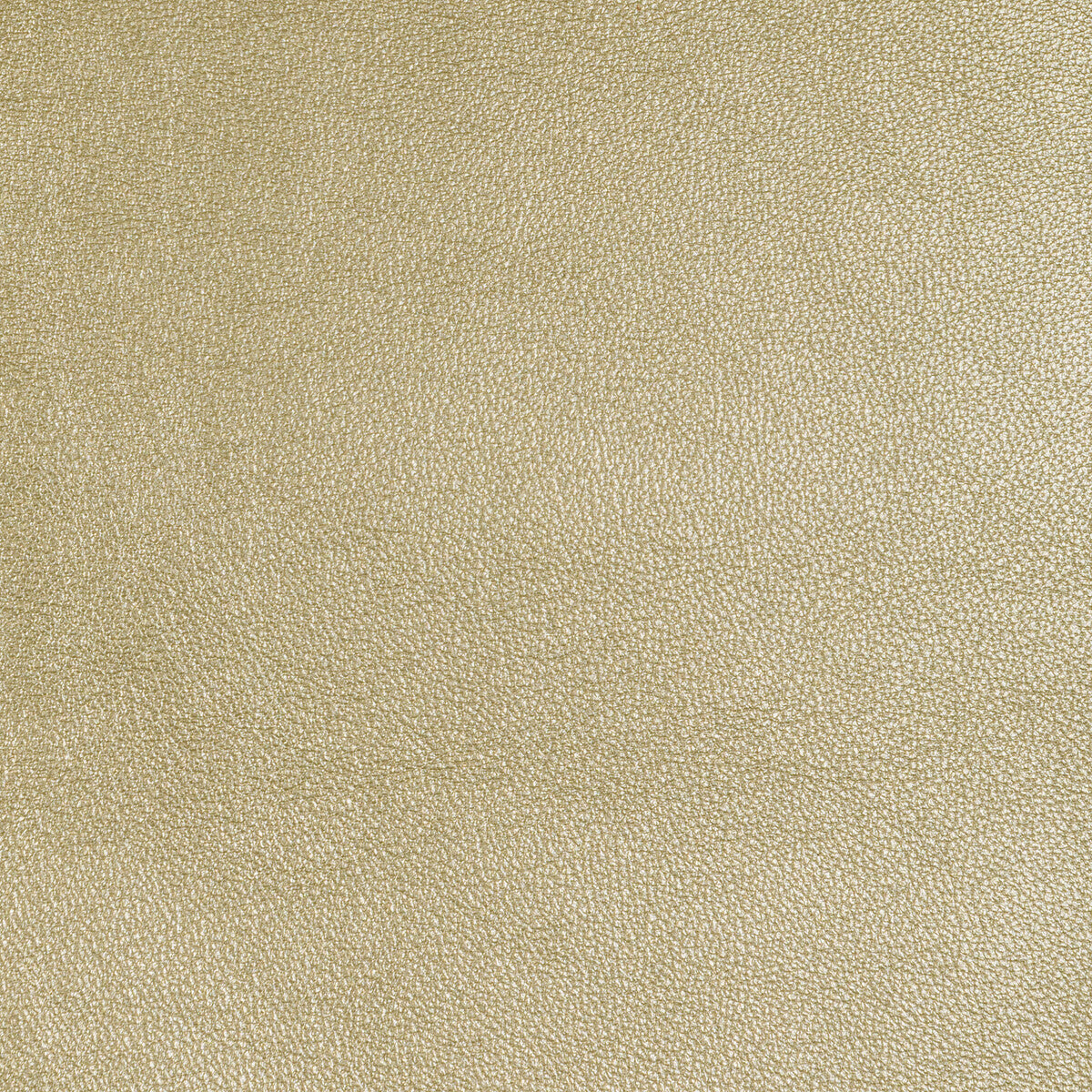 l-sierraglimmer0-kravet-design-l-sierra-glimmer-kravet-design