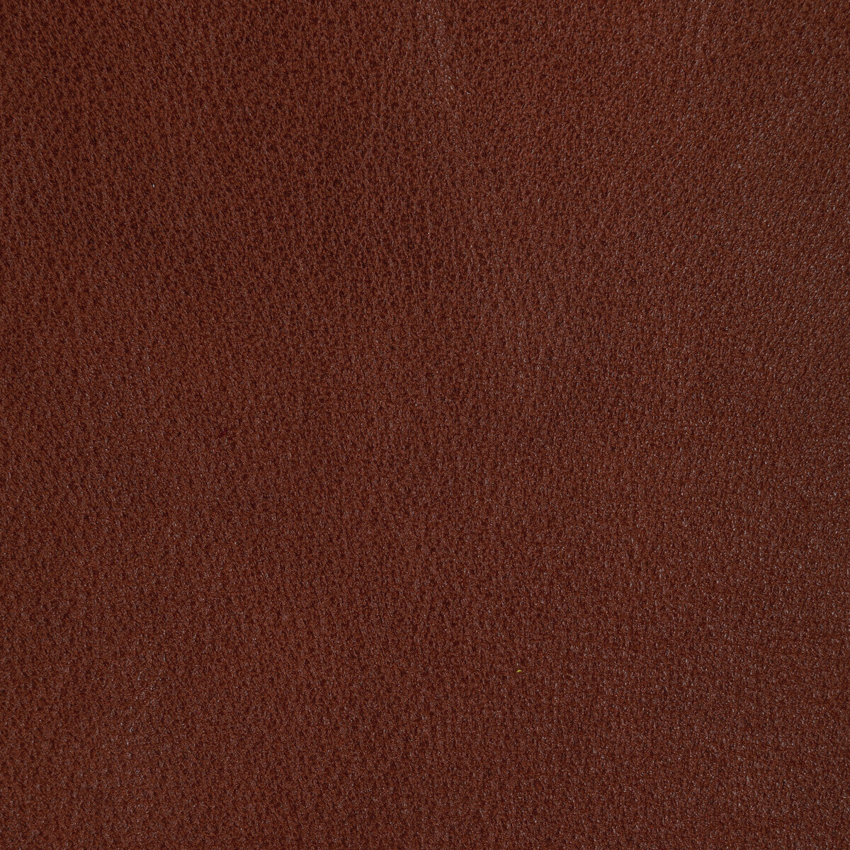 l-reinmaple0-kravet-design-l-rein-maple-kravet-design