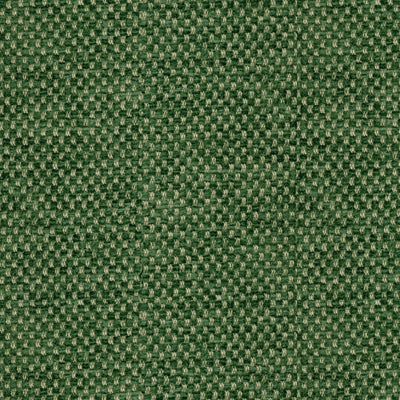 br-817824880-yorke-chenille-forest-brunschwig-fils