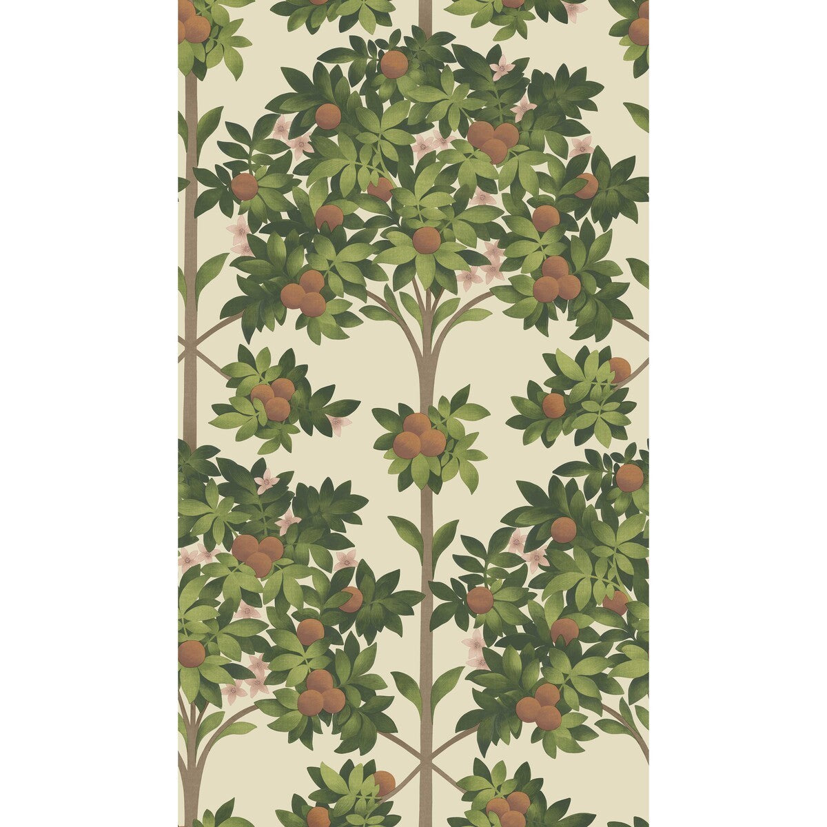 1171001cs0-orange-blossom-orange-spring-greenparch-cole-son