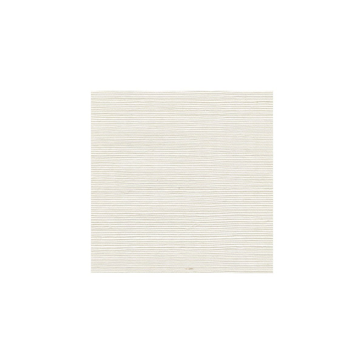wss4566wt0-sisal-buttermilk-winfield-thybony