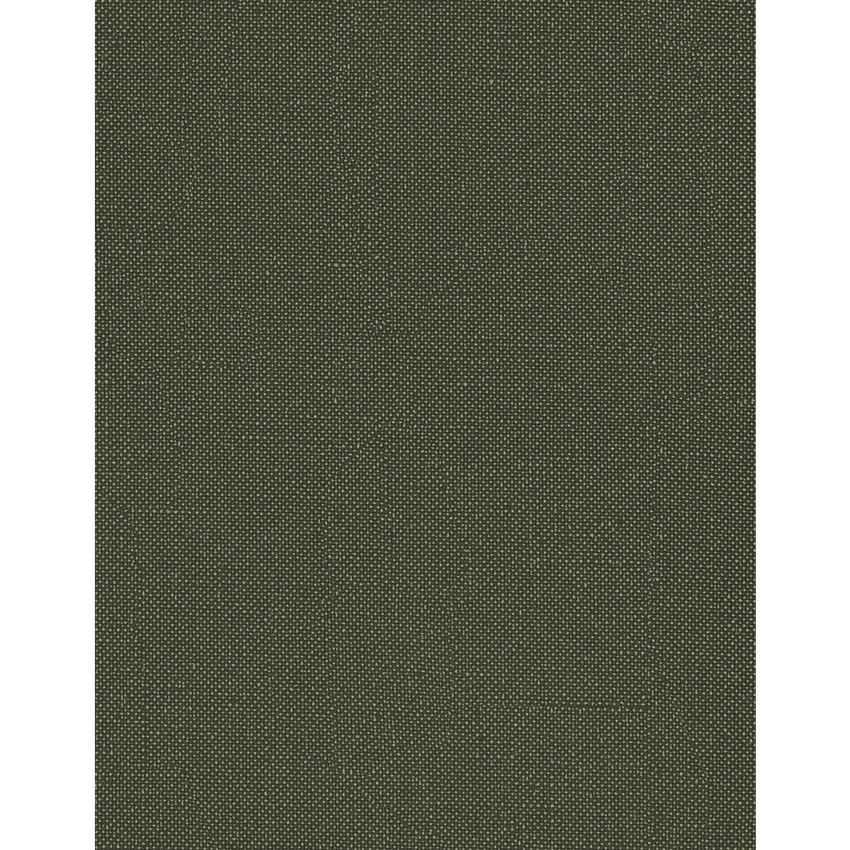 wtn1053wt0-opulence-forest-winfield-thybony - WINFIELD THYBONY Wallpaper