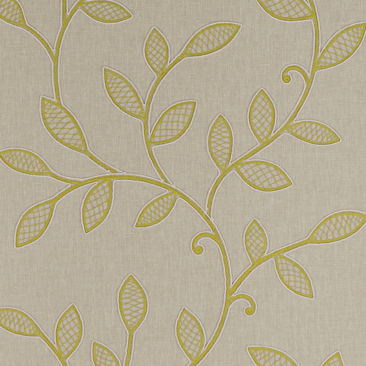 f093701cac0-hetton-acacia-clarke-and-clarke - CLARKE AND CLARKE Fabric