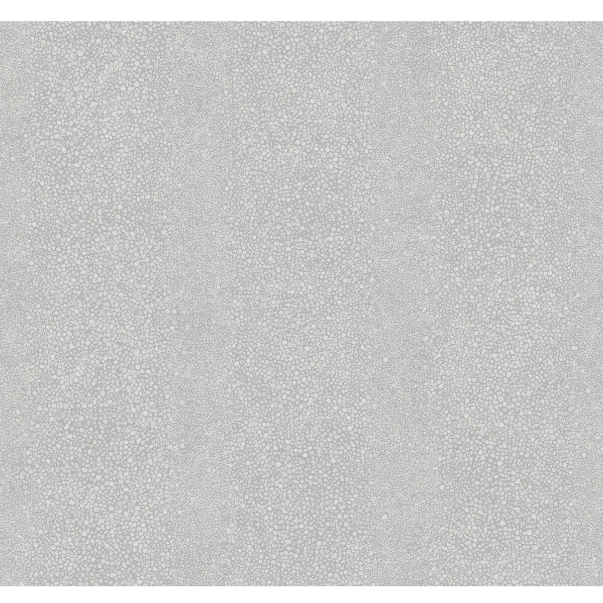 wtp4008wt0-ray-coastal-fog-winfield-thybony - WINFIELD THYBONY Wallpaper